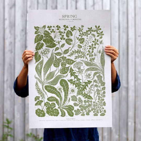 Seasonal Foraging Poster
