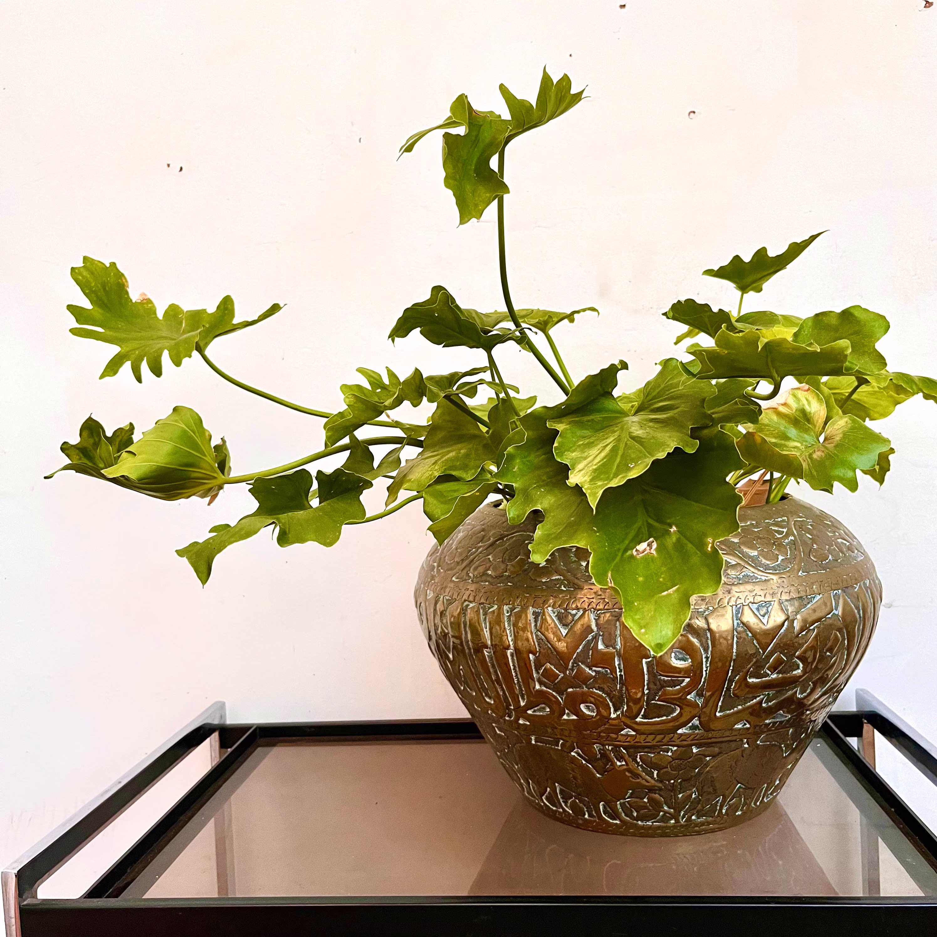 Large Islamic Brass Plant Pot With Embossed Lettering & Animals