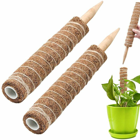 Echoo - 30cm Climbing Plant Stake Support, 2pcs Coir Fiber Stake, Coir Moss Stick for Climbing Plants, Coir Pole for Monstera Garden Plant