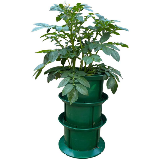 Platform Potato Growpot Planter
