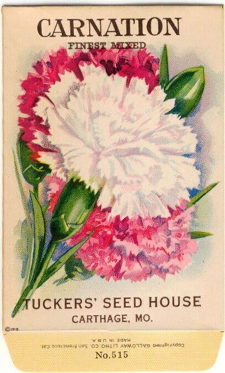 Vintage Flower Seed Packet "Carnation" 1918 "No Seeds
