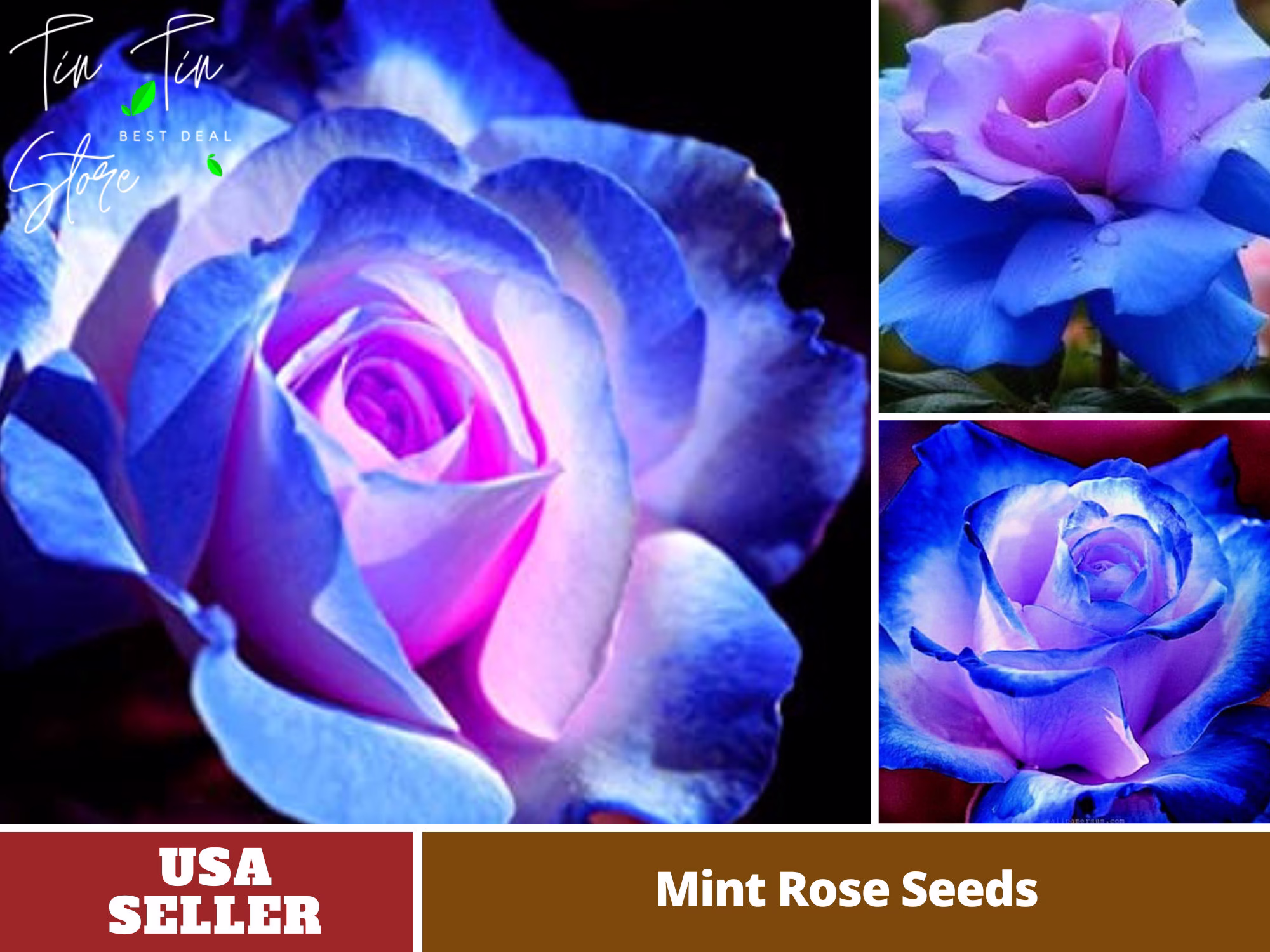 30 Rare Seed-Blues Blue Rose Seeds - Perennial -Authentic Seeds-Flowers -Organic. Non Gmo -Vegetable Seeds-Mix For Plant-B3G1 #1072