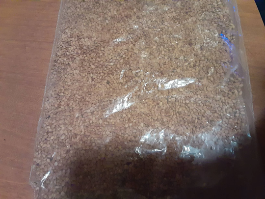 Black Mulberry Tree Seeds