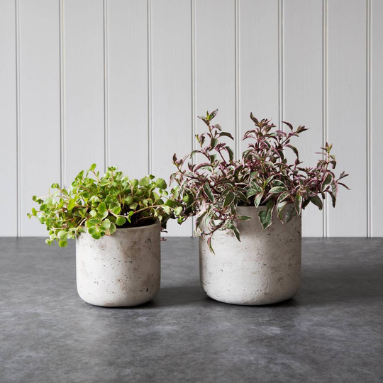 Straight 'Stratton' Planters Set Of Two