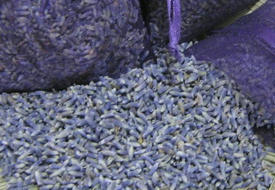 Highest Fragrance Lavender Dry Organic Bulk Wholesale English Lavender Grosso French Healing Herb 1lb 2lb 3lb 4lb 5lb 8Oz 4Oz