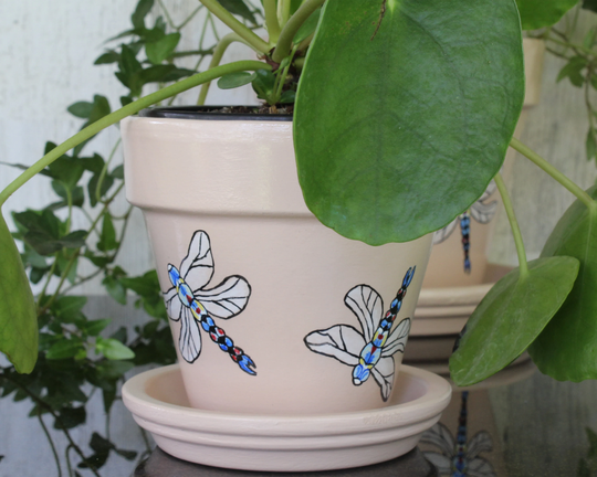 Small Painted Dragonfly Terracotta Pot With Drainage Hole & Saucer - Salmon Colored Plant Pot/ Flower