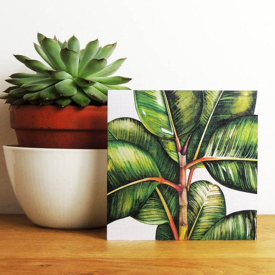 Ficus Bengalesis Greetings Card