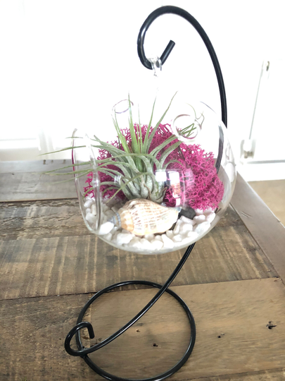 Diy Terrarium Air Plant Kit, Terrarium Stand. Glass Terrarium, Hanging Pot. Plant Stand, Miniature Garden