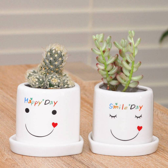 Smiley Face Heart Shaped Planter With Choice Of Plant