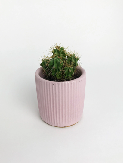 Small Pink Concrete Pot