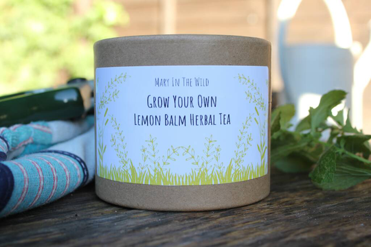 Grow Your Own Lemon Balm Herbal Tea