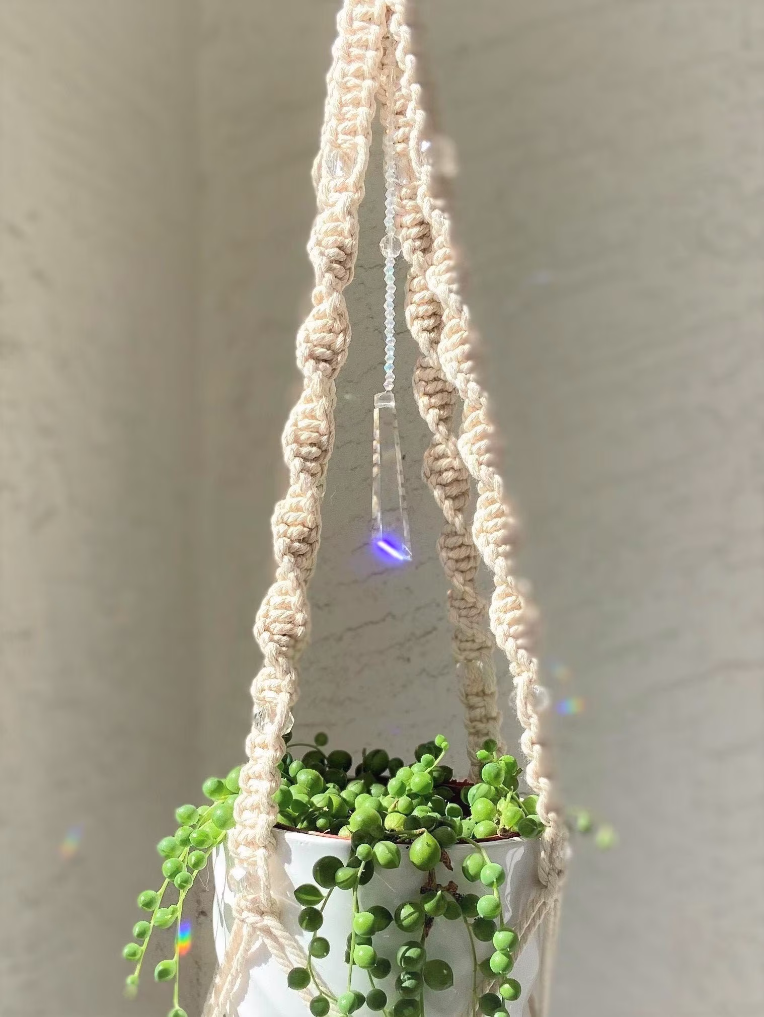 Crystal Macrame Suncatcher Plant Hanger From The Zen Collection