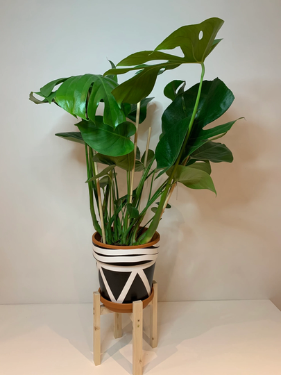 Plant Pot Stand - Solid Wood 25cm Tall Hand Made in UK