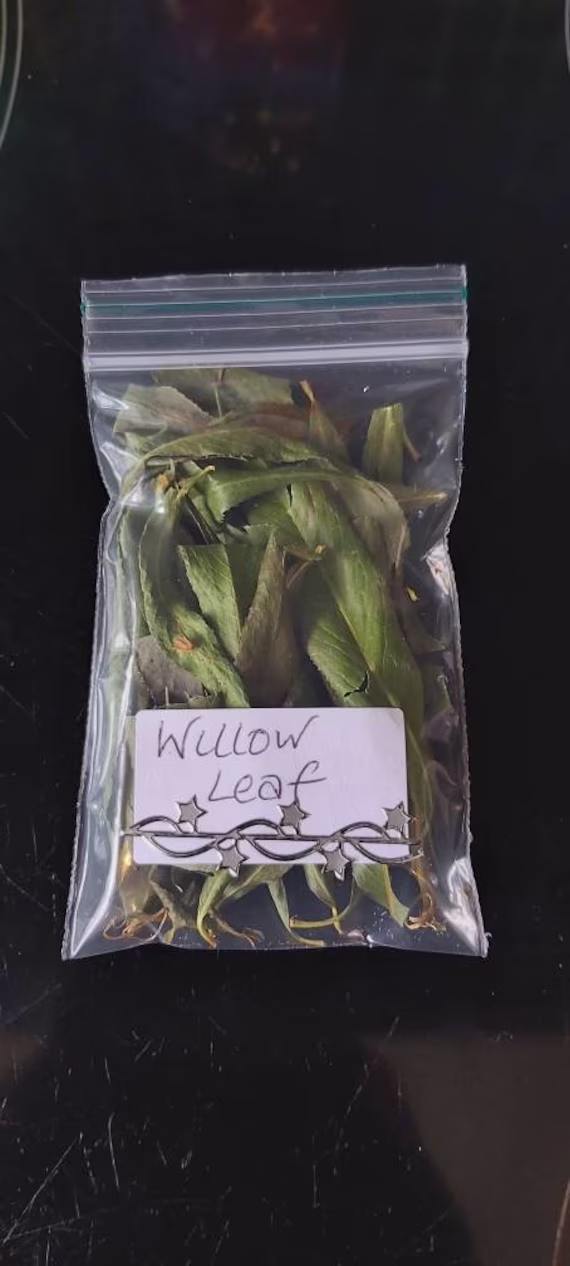 Willow Leaf - Home Grown Loose Magical & Healing Plant Love Protection Enchantment Spells & Incense Magic Wicca Pagan