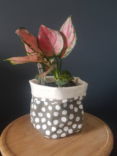 Pot Plant Cover/ Pot Cozy/ Fabric Patterned/Printed/ Reverasable/ Machine Washable/ Potsofloveboutique/ Potsoflove/ Jenny