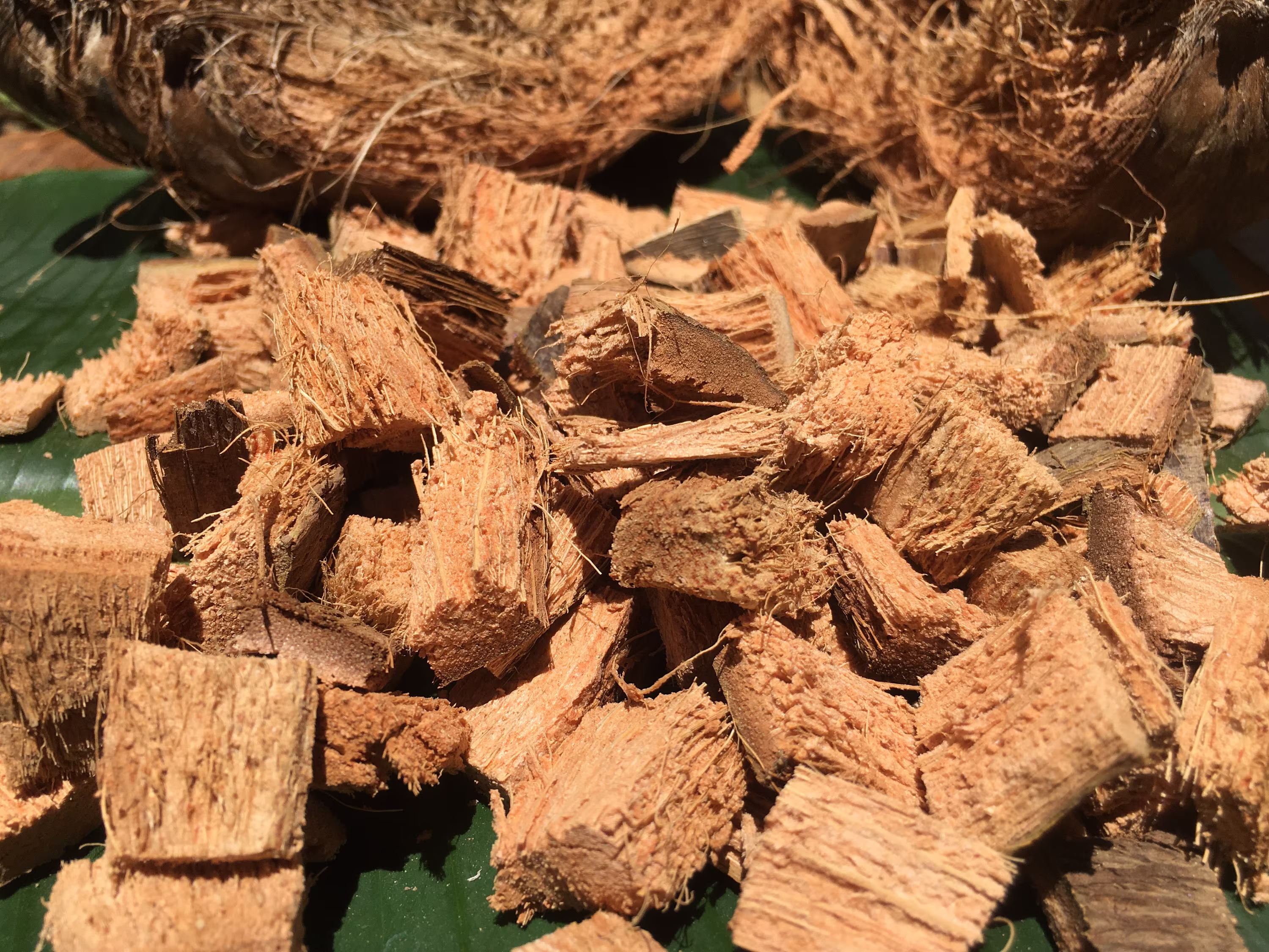 Coconut Husk Chips 100% Natural Pure Pieces For Planting
