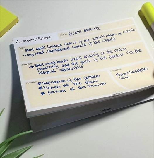Anatomy Flashcard Notepad - Medicine/Physician Associate/Nursing/Dentistry/Pharmacy Students