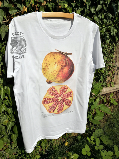 Pomegranate | 1907 - Unisex Organic T-Shirt, Vintage Style Botany T-Shirt