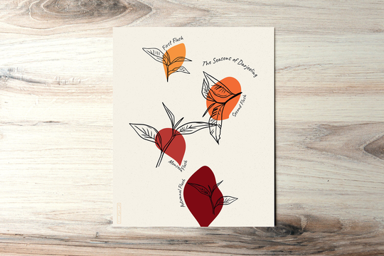 Seasons Of Darjeeling | Art Print Tea Plant, Botanical, Camellia Sinensis