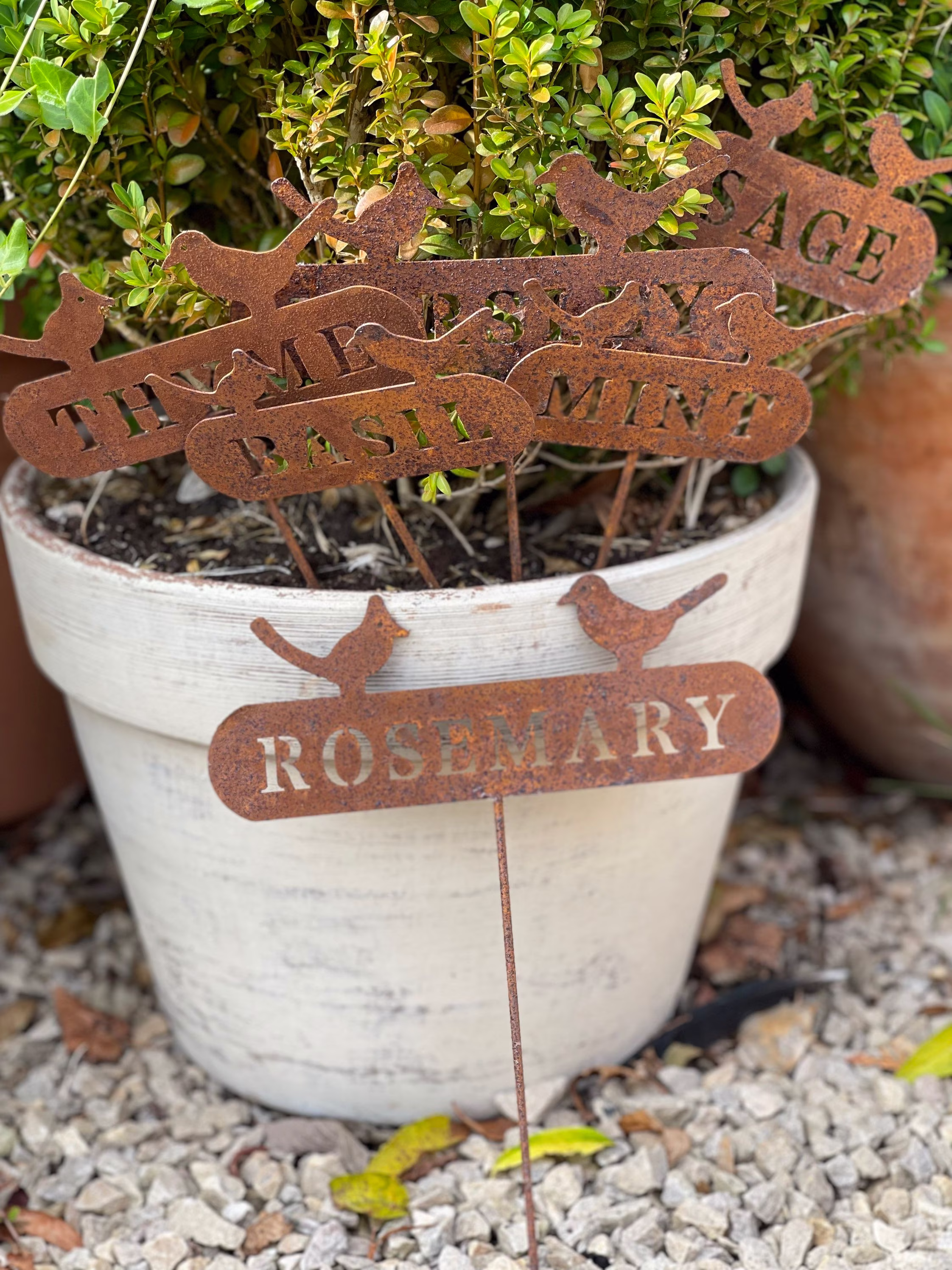 Herb Names Rusty Garden Signs A Set Of Six