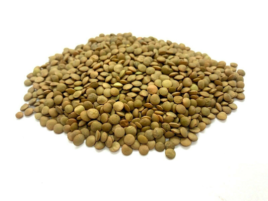 Brown Lentils Organic Mujadara Legume Cereal Small Seed Bean Palestinian