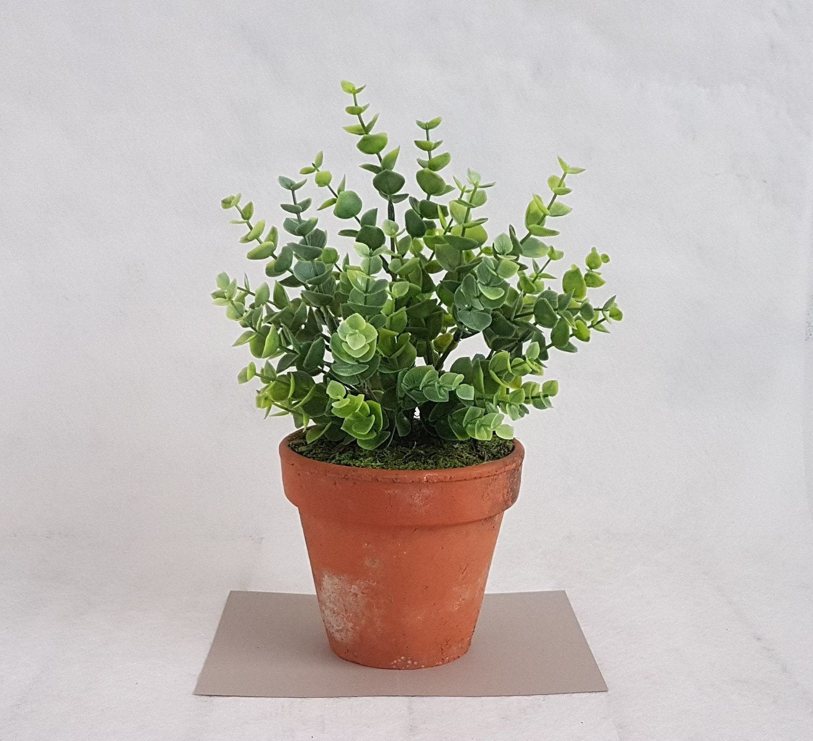 Eucalyptus Plant in Old Terracotta Pot Artificial Plants Faux Green Realistic Planter Clay Gift Idea Home Grey Green Indoor