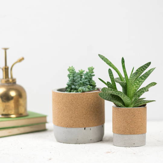 Concrete & Cork Plant Pot - Planter Cactus Planter Succulent Medium Pots 5Th Wedding Anniversary
