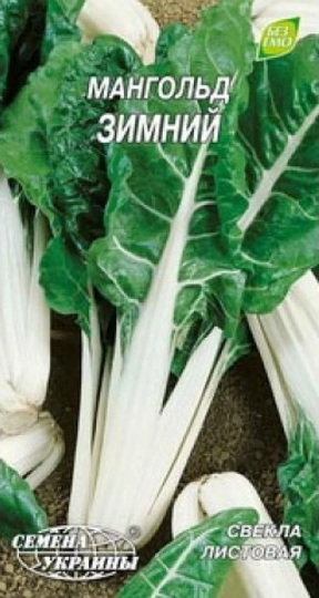 Rare Organic Vegetable White Chard Seeds "Winter
