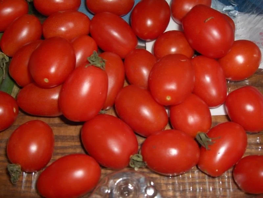 Vegetable - Tomato Principe Borghese 40 Premium Quality Seeds