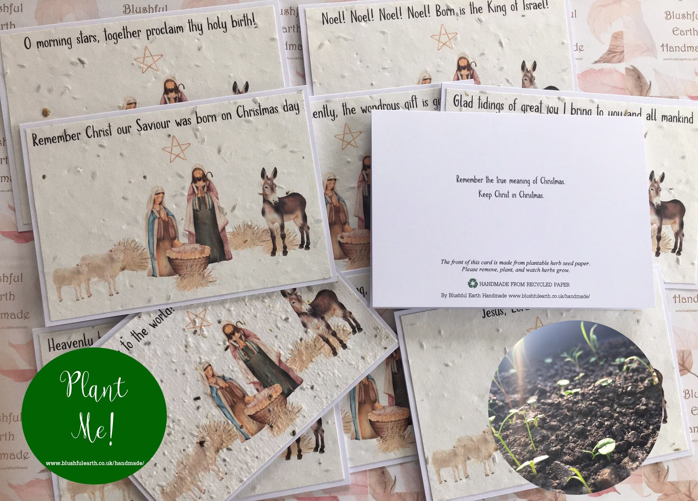 Plantable Religious Nativity Cards, Wildflower Or Herb Seed Paper Attached To Recycled White Card, Christmas Cards