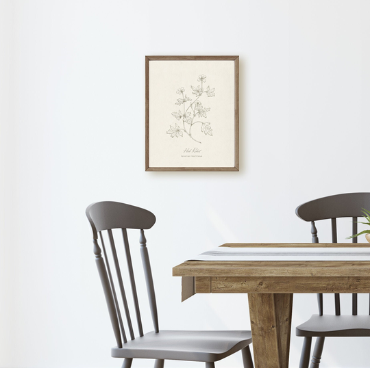 Herb Robert Botanical Herb, Neutral Minimalist Line Drawing, Wall Art Print