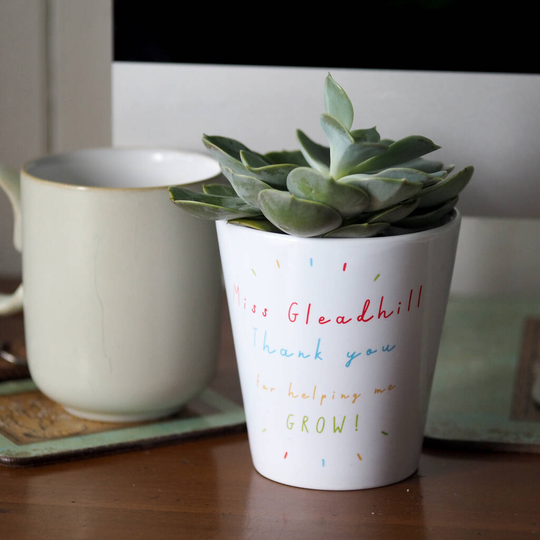 'Helping Me Grow' Teacher Plant Pot With Seeds