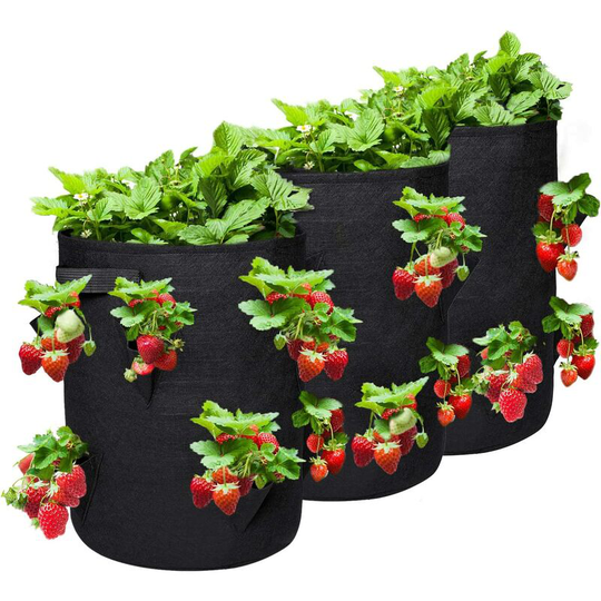 NASUM 3 Piece Garden Planting Bags, Outdoor Non-Woven Textile Plant Bag for Strawberry/Potato/Tomato/Flower with Heavy Duty Handles and 10 Gallon