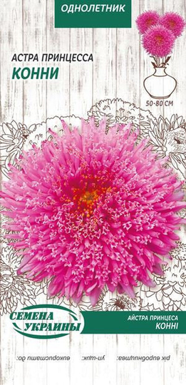 Rare Organic Flower Seeds Giant Aster
