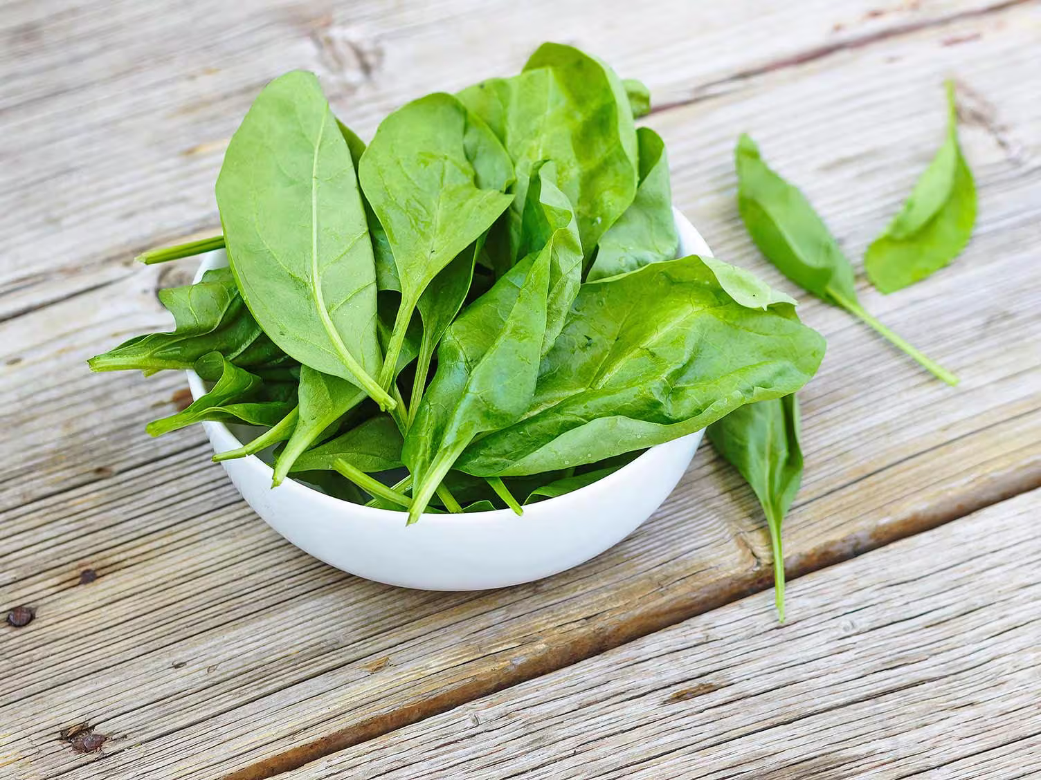 Beet Leaf Perpetual Spinach Autumn/Summer Sow Vegetable Seeds 250 Organic Seed