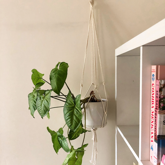 Macramé Pot Plant Hanger