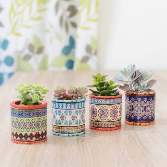 Set Of Four Colourful Planters Christmas Decorations