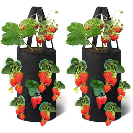 2 Packs Strawberry Grow Bags,23X28 cm Breathable Planter Bag with Side Grow Pockets Handles for Garden Strawberries, Herbs, Flowers, Tomatoes (Black)