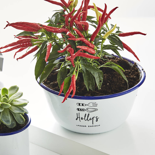 Personalised Indoor Garden Planter