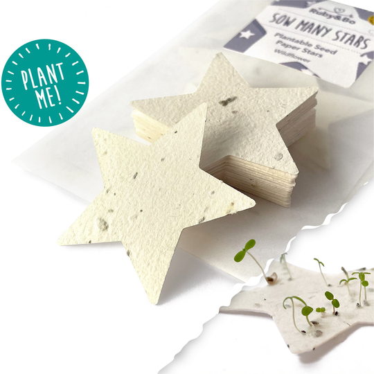 Plantable Seed Paper Stars/Eco Friendly Gift Party Bag Filler 100% British Wildflowers