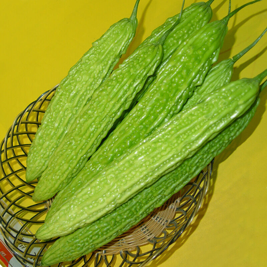 5 grams of bitter melon seeds edible fruit, very valuable medicinal plant