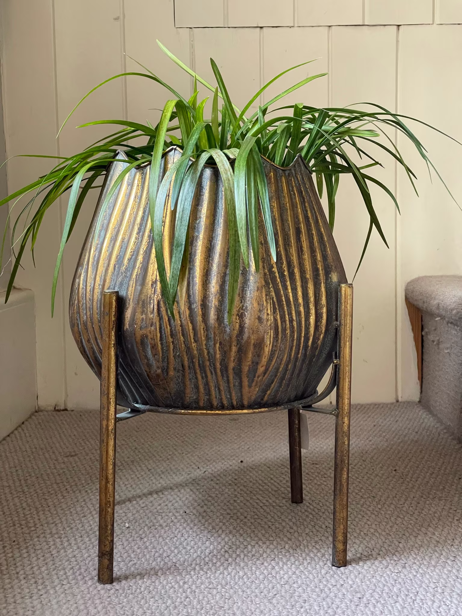 Large Tall Beautiful Bronzed Gold Ribbed Planter Urn Inside Outside Use