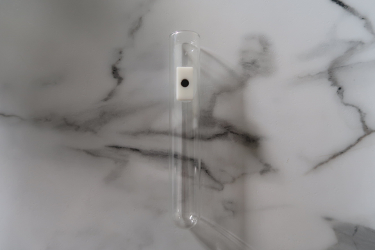 6 Inch Magnetic Replacement Test Tube For Floating Propagation Station, Window Planter, Cabinet Save Space, Fridge Magnet