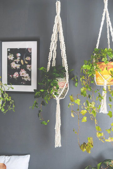 Macrame Plant Hanger, Indoor Bohemian Home Decor, Room Plant Holder, Tie Dye, Fringed Hanger
