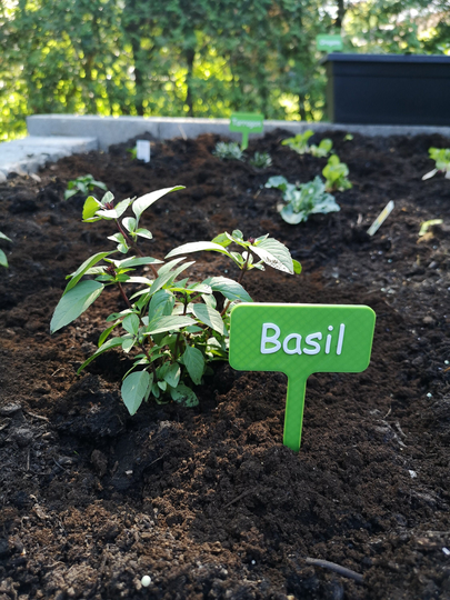 Custom 3D Printed Plant Tags - Set Of 5