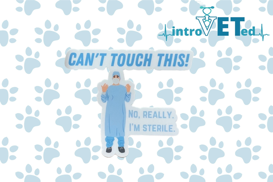 Can't Touch This Sticker, Surgeon Sticker, Doctor Med Student Sticker, Vet Vet Tech Gift, Surgical