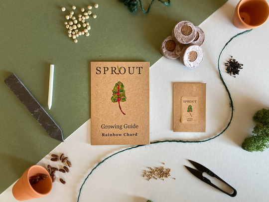 Grow Your Own Rainbow Chard Gift Set