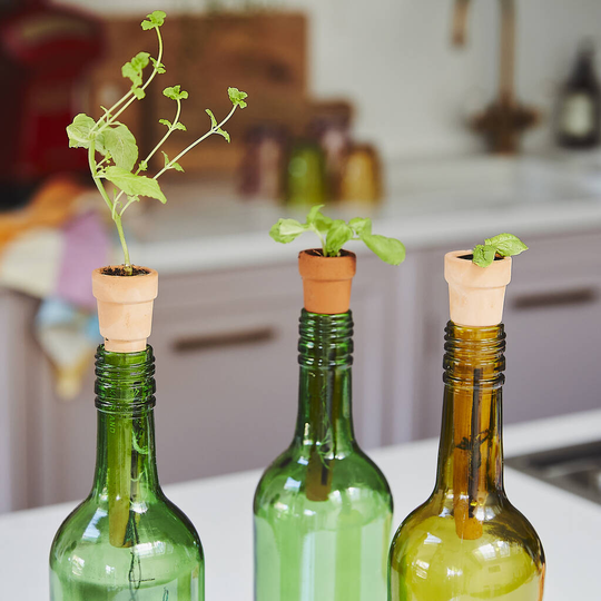 Bottle Top Terracotta Herb Planters