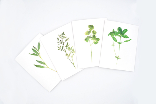 Watercolor Cards, Botanical Notecard Set, Gift For Gardener, Herb Notecard, Stationary, Gifts Mom, Painting, Kitchen Art