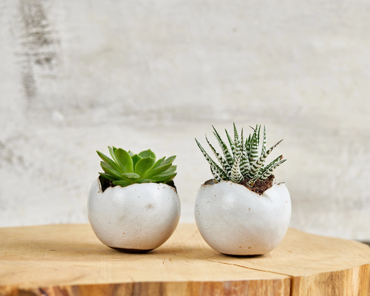 Set Of 2 Medium Shiny White Ceramic Planter Pot, Kitchen/Living Room Bathroom Eclectic Decor, Housewarming Gift
